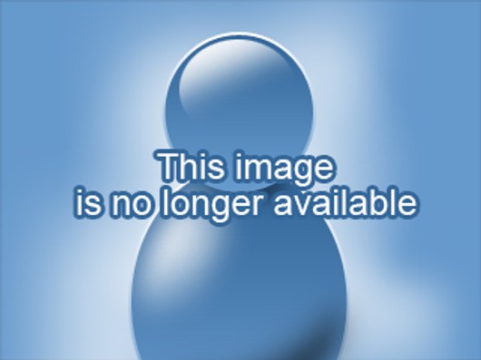 Kindly take place and be part of on-line cam for good fun